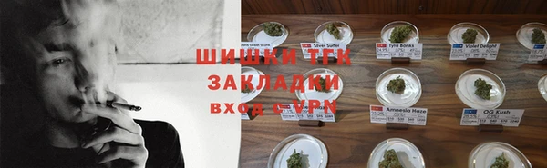 индика Волоколамск